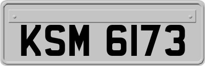 KSM6173