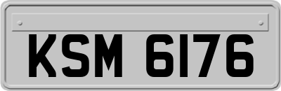 KSM6176