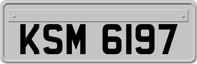 KSM6197