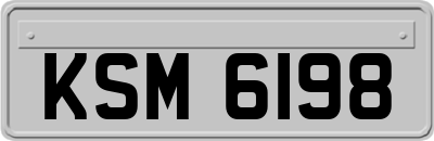 KSM6198