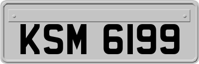 KSM6199
