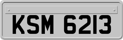 KSM6213