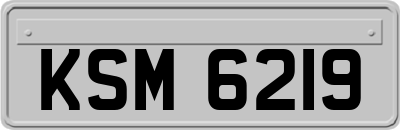 KSM6219