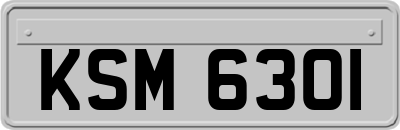 KSM6301