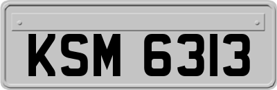 KSM6313