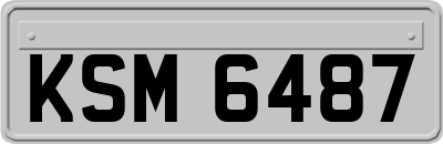 KSM6487