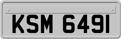 KSM6491