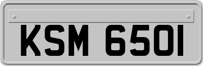 KSM6501