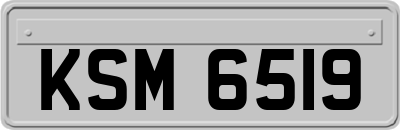 KSM6519