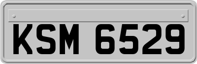 KSM6529