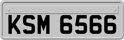 KSM6566