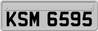 KSM6595
