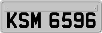 KSM6596