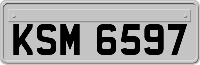 KSM6597