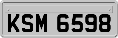 KSM6598