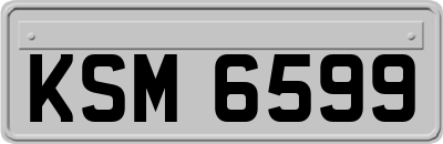 KSM6599