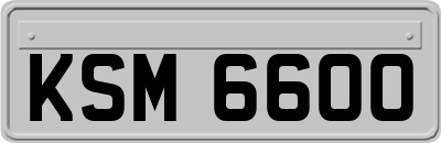 KSM6600