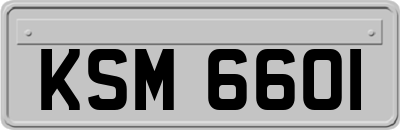 KSM6601