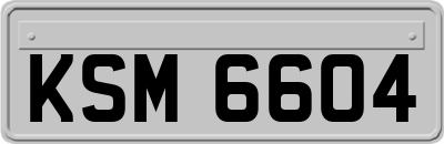 KSM6604
