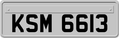 KSM6613