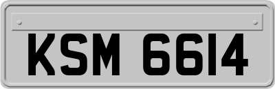 KSM6614