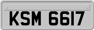 KSM6617