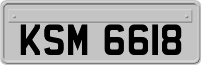 KSM6618