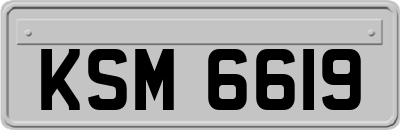 KSM6619