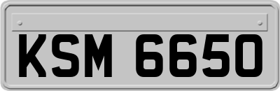 KSM6650