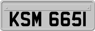 KSM6651