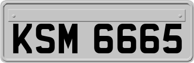 KSM6665