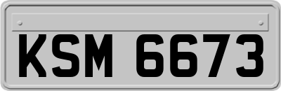 KSM6673
