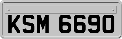 KSM6690