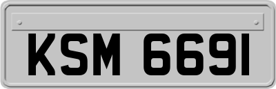 KSM6691