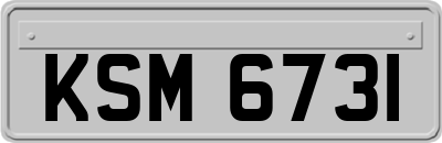KSM6731