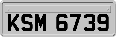 KSM6739