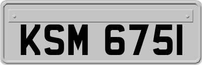KSM6751