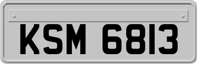 KSM6813