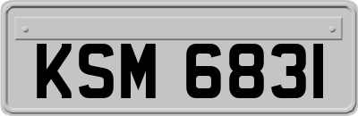 KSM6831