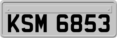 KSM6853