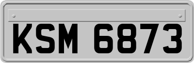 KSM6873