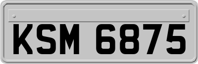 KSM6875