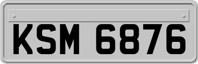 KSM6876