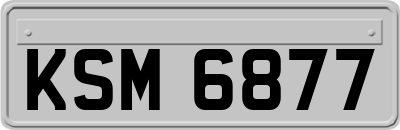 KSM6877