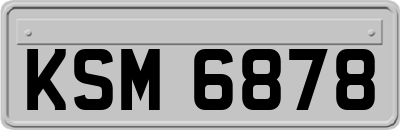 KSM6878