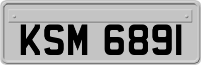 KSM6891