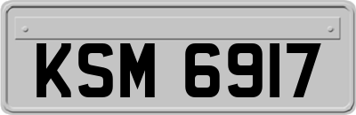 KSM6917