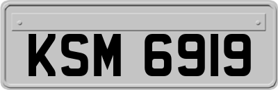 KSM6919