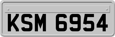 KSM6954