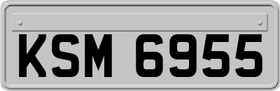 KSM6955